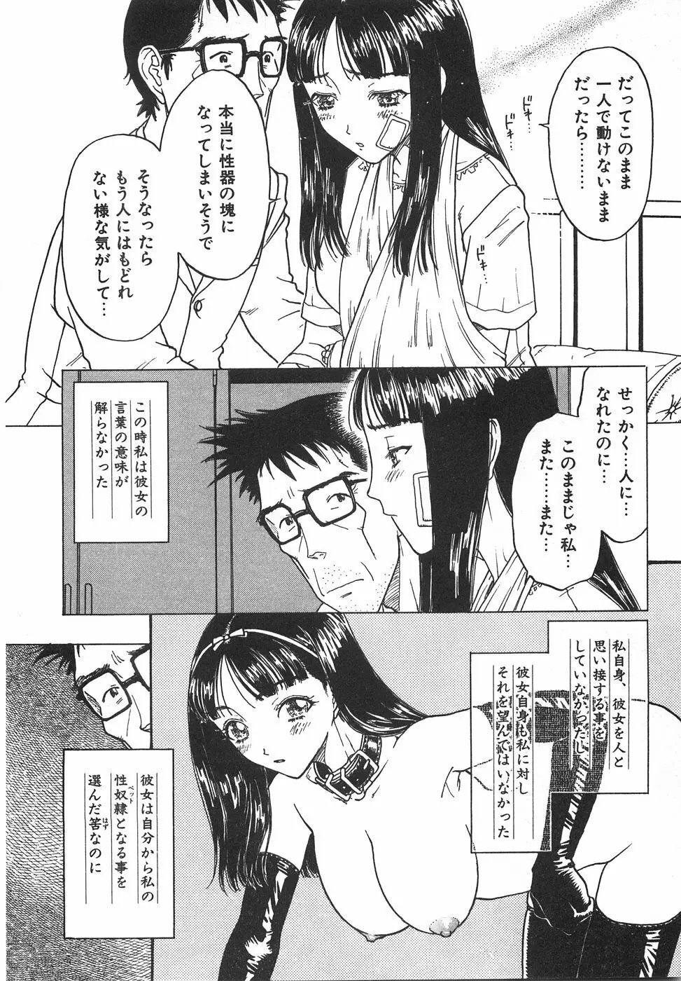 棘のある花束 256ページ