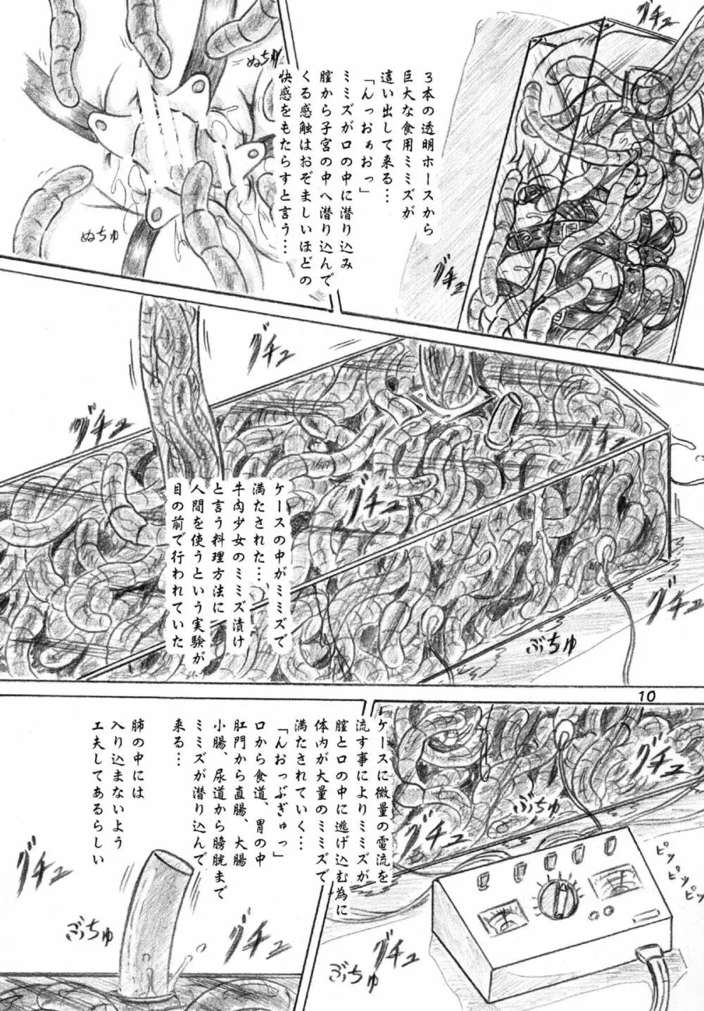 生物倶楽部、おまけコピー本2冊付 9ページ