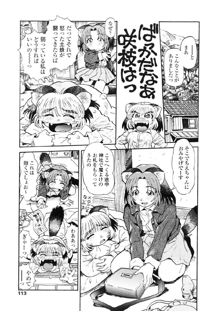 タヌプリちゃん 第1巻 116ページ