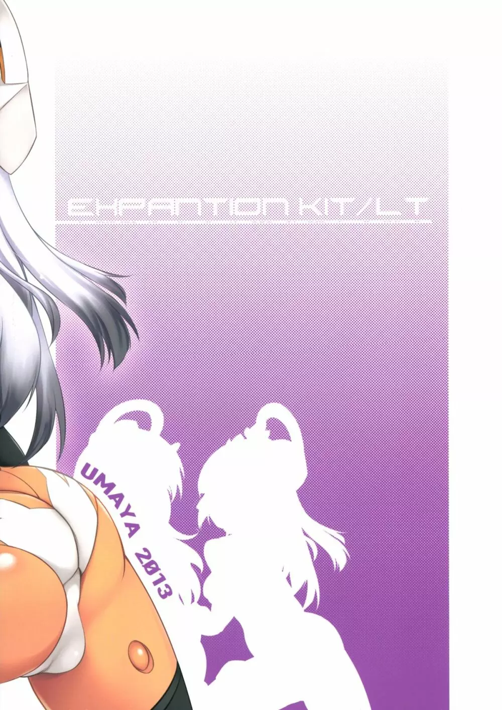 EXPANTION KIT/LT 2ページ