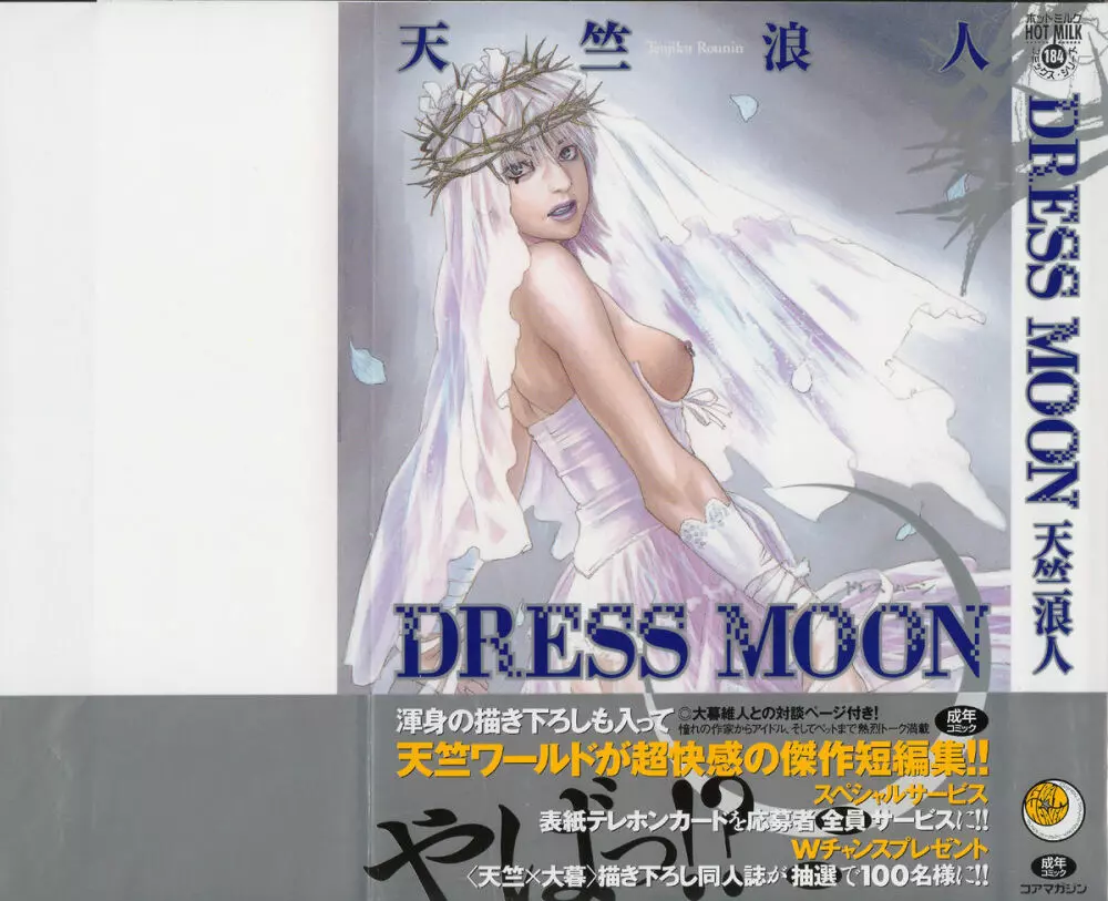 DRESS MOON 3ページ