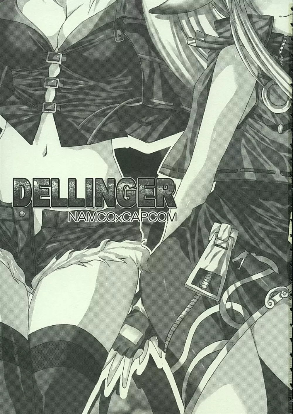 DELLINGER 2ページ