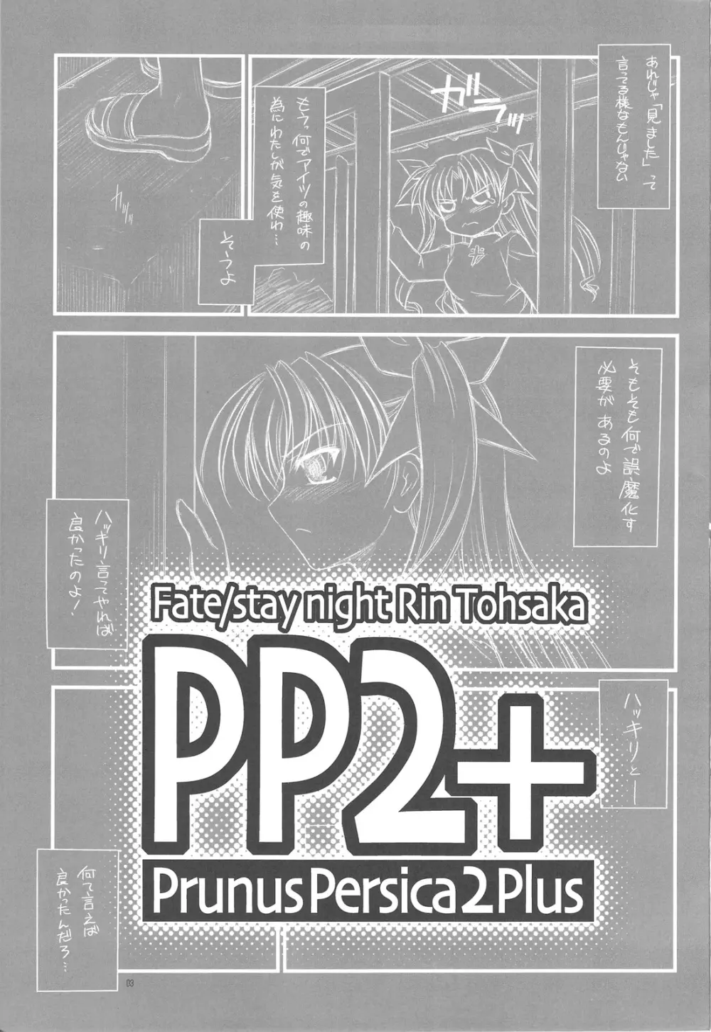 PP2+ 2ページ