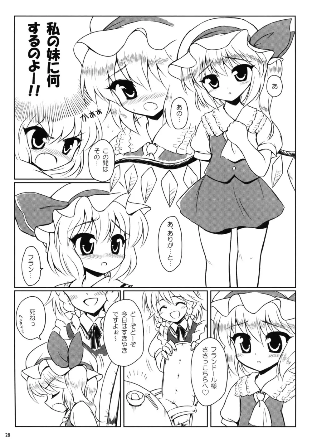 家族計画 28ページ