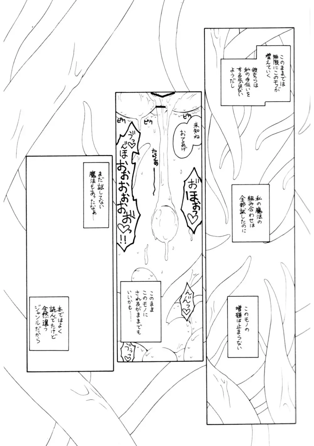 パチュリーの洗礼2 ある館の一日 その2 13ページ