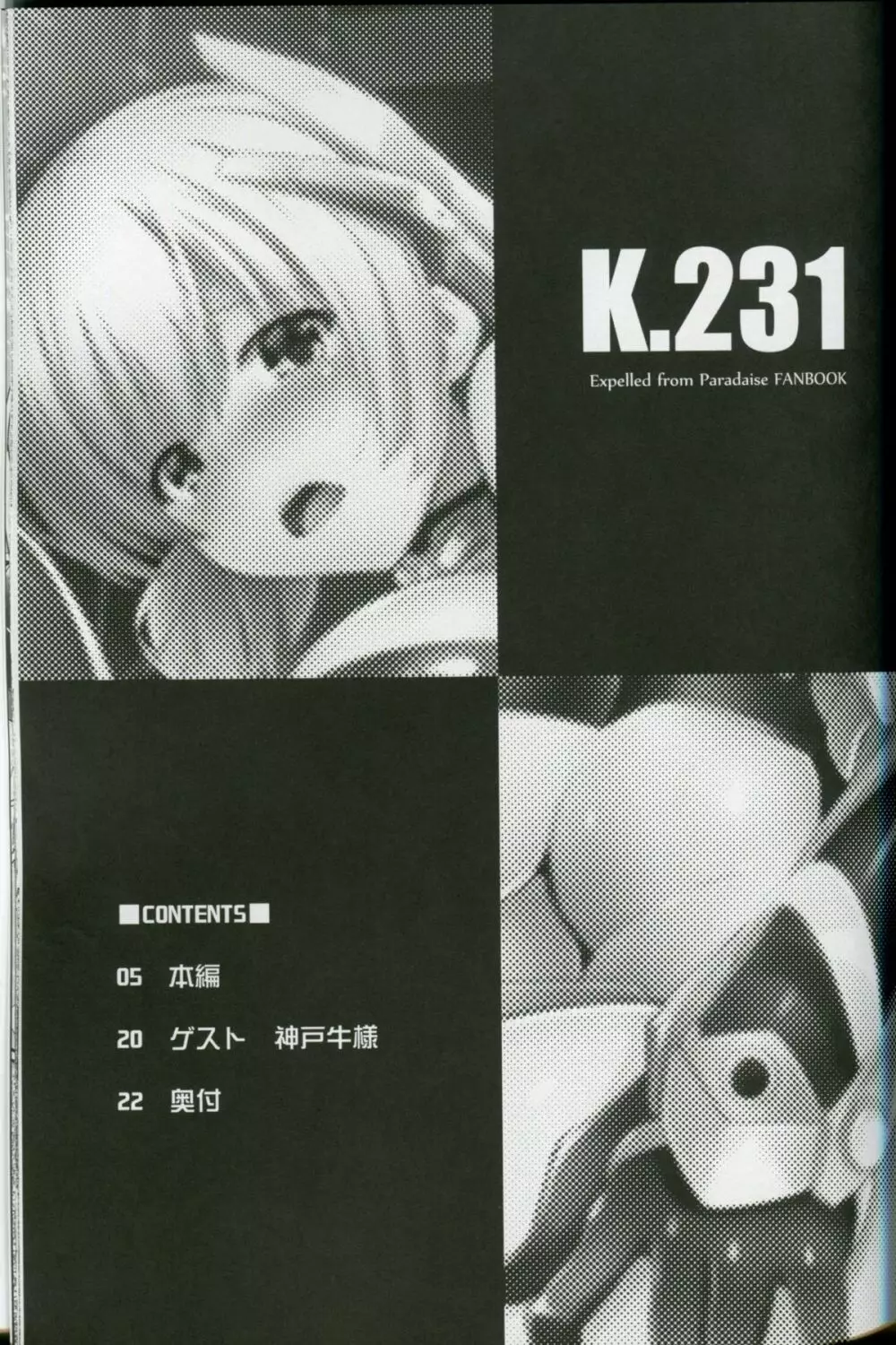 K.231 2ページ