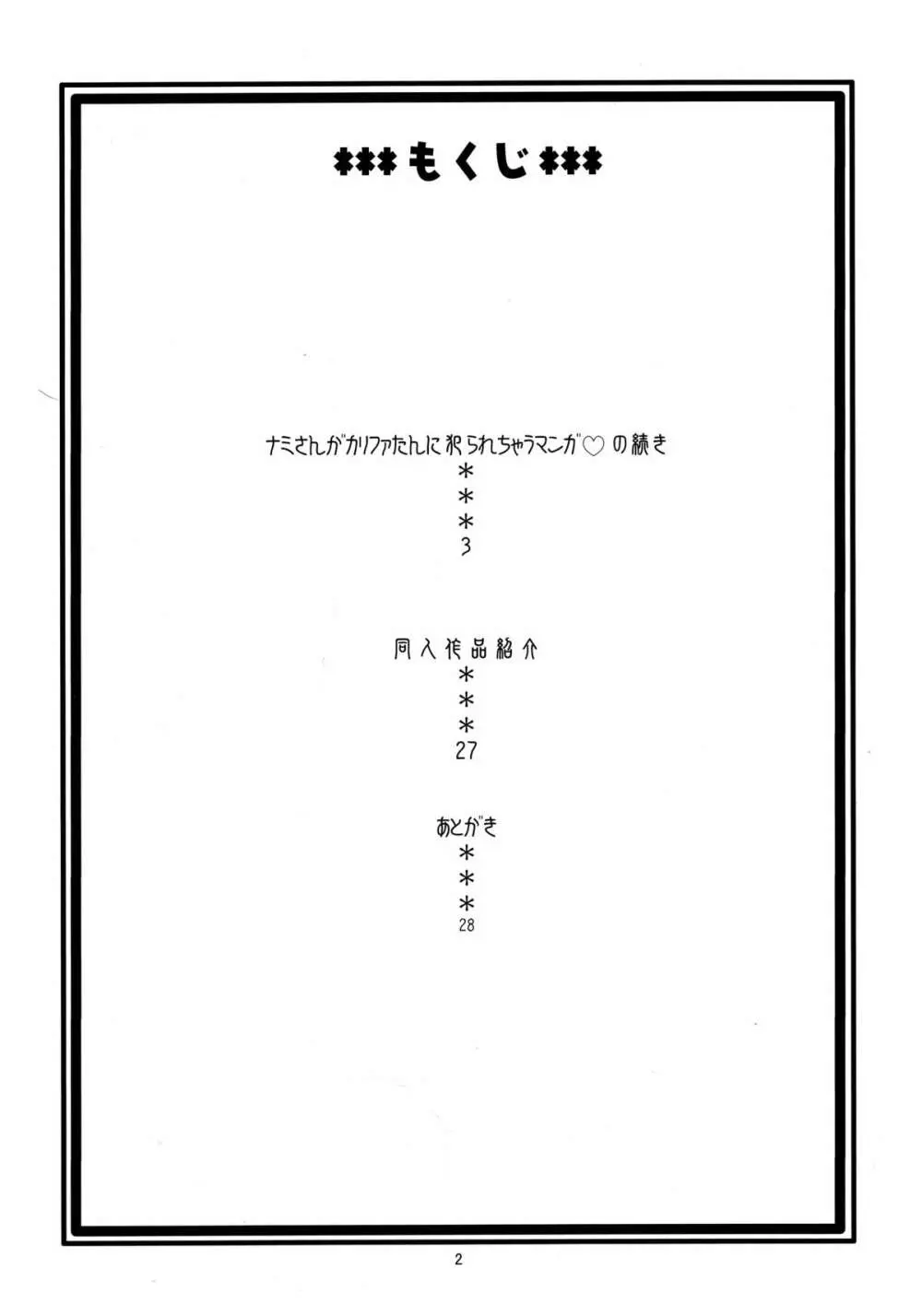 ナミの裏航海日誌2 3ページ