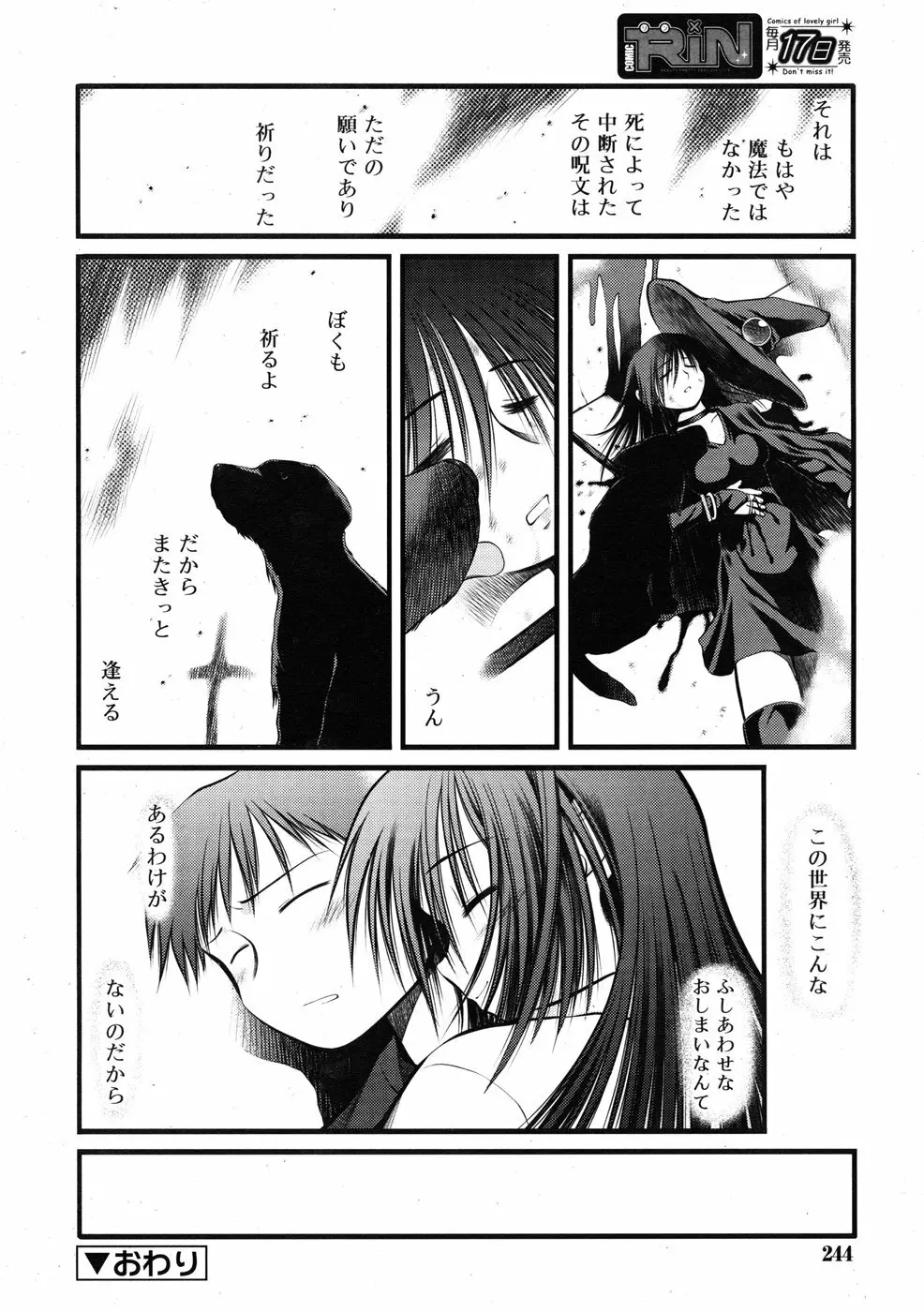 COMIC RiN 2009-01 242ページ