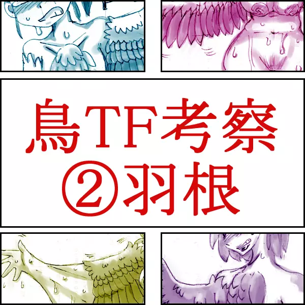 鳥TFに関する考察と練習 6ページ