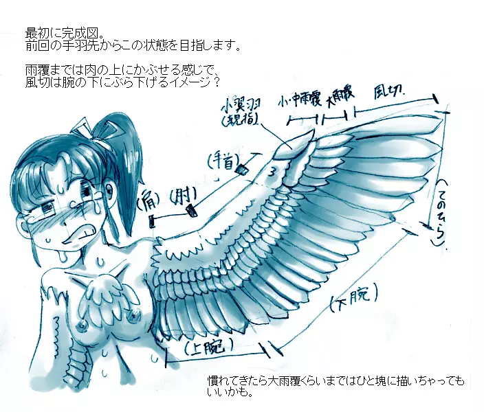 鳥TFに関する考察と練習 7ページ