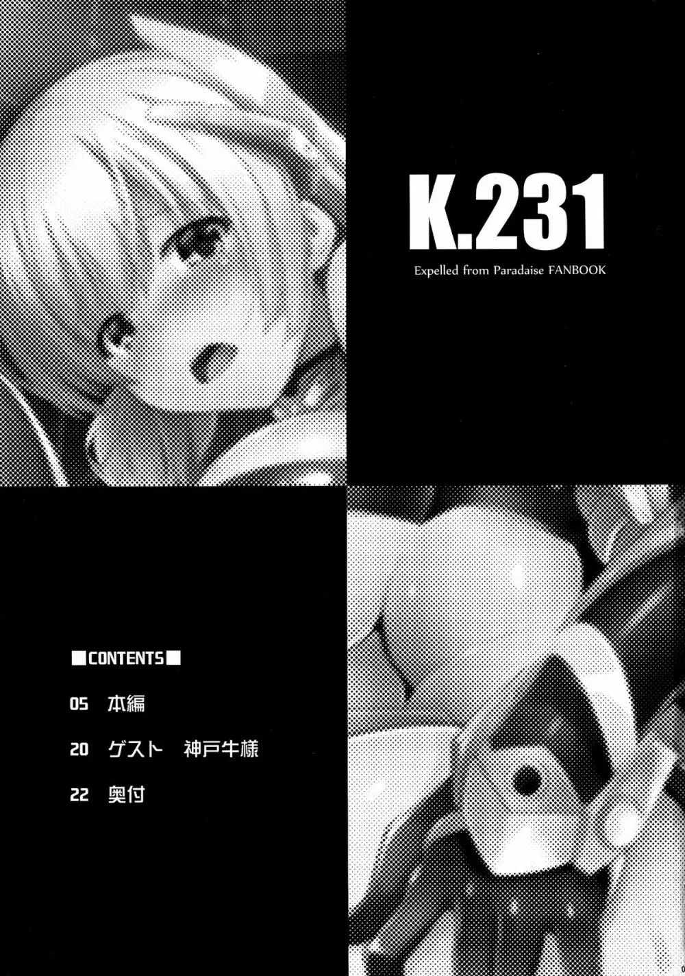 K.231 3ページ