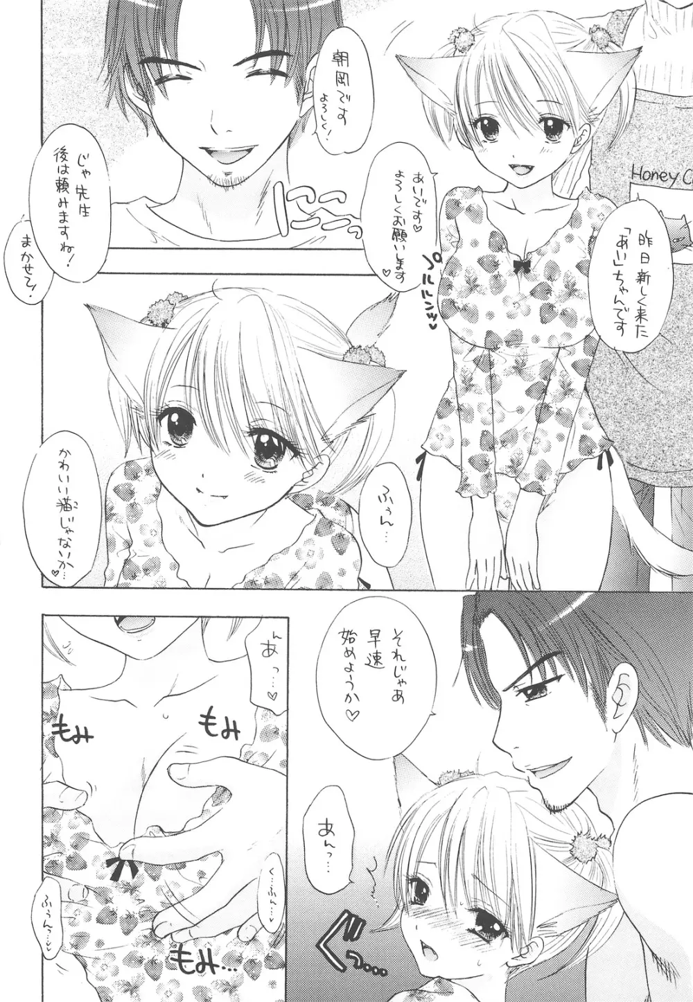 HONEY CATS 13ページ