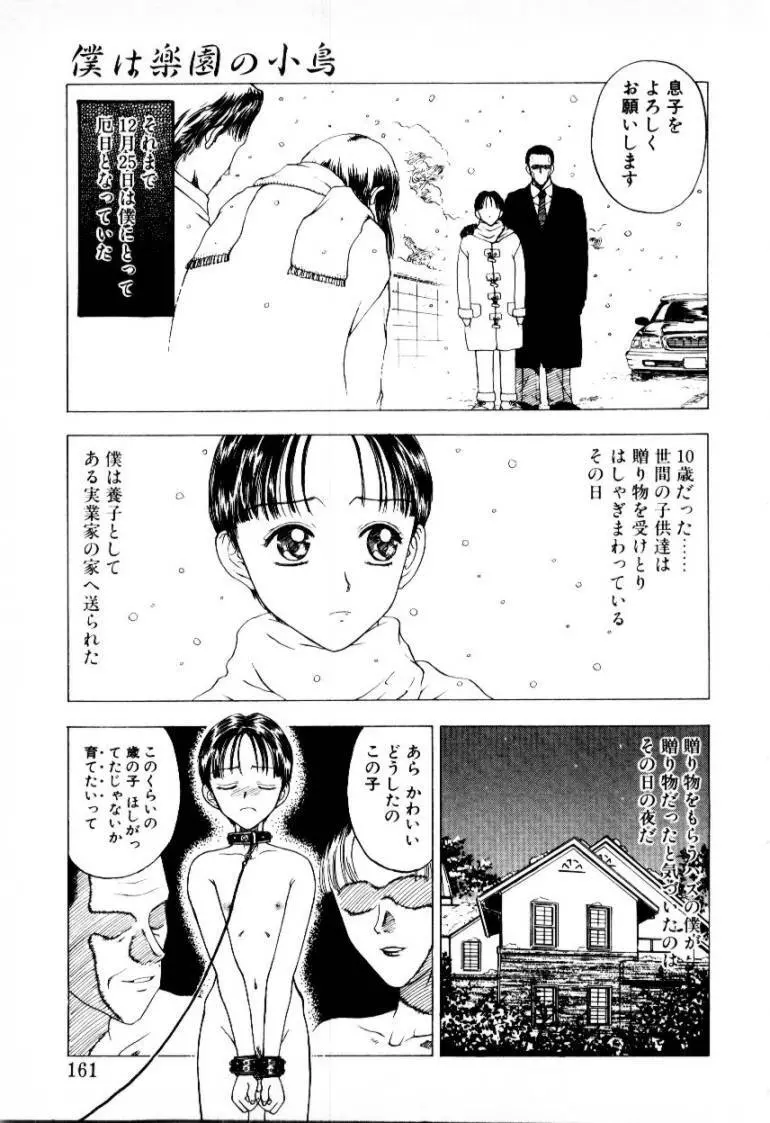 つぼみ 161ページ