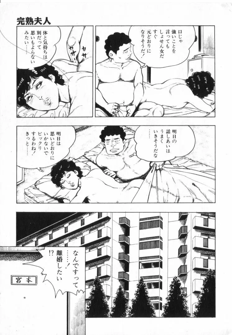 完熟夫人 275ページ