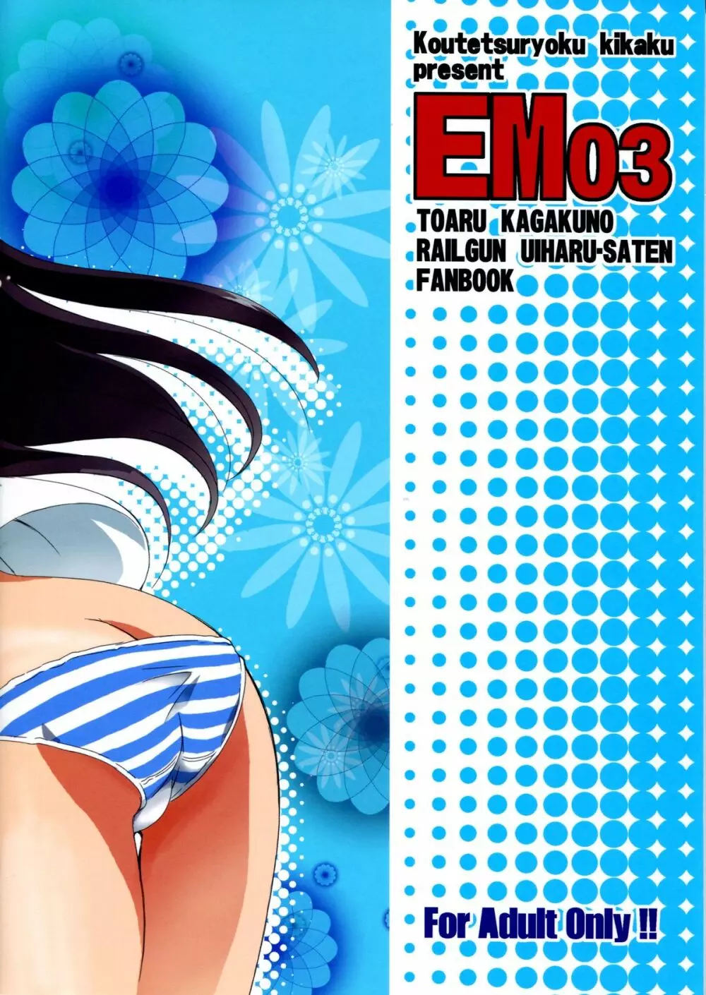 EM03 2ページ