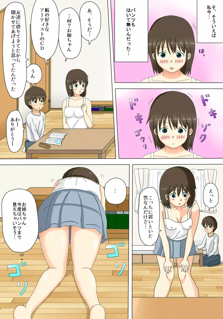 お姉ちゃんの露出体験記 11ページ