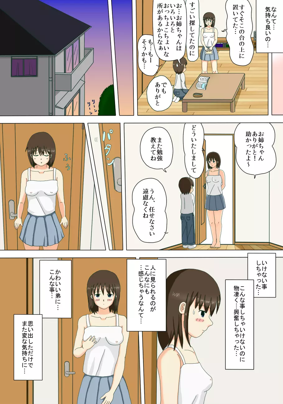 お姉ちゃんの露出体験記 14ページ