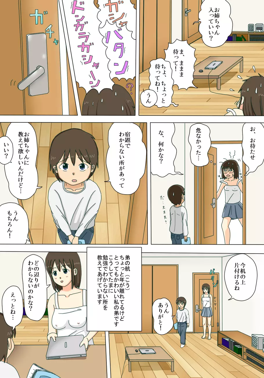 お姉ちゃんの露出体験記 6ページ