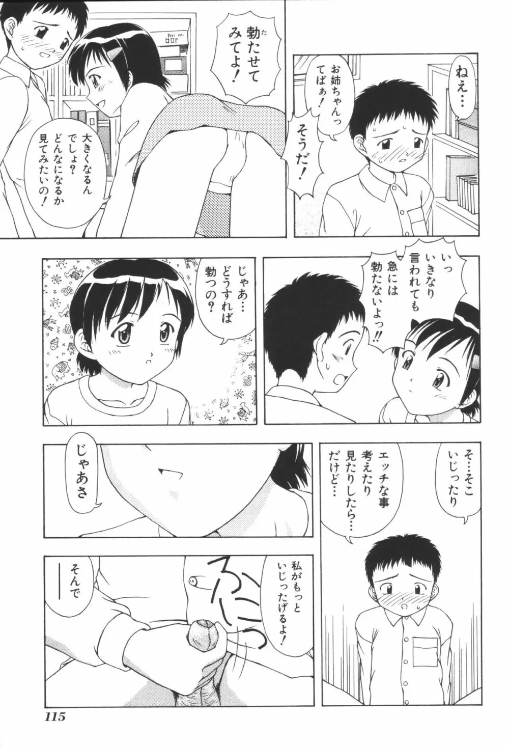 姉弟恋歌3 117ページ