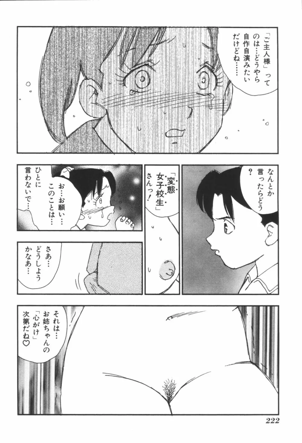 姉弟恋歌3 224ページ