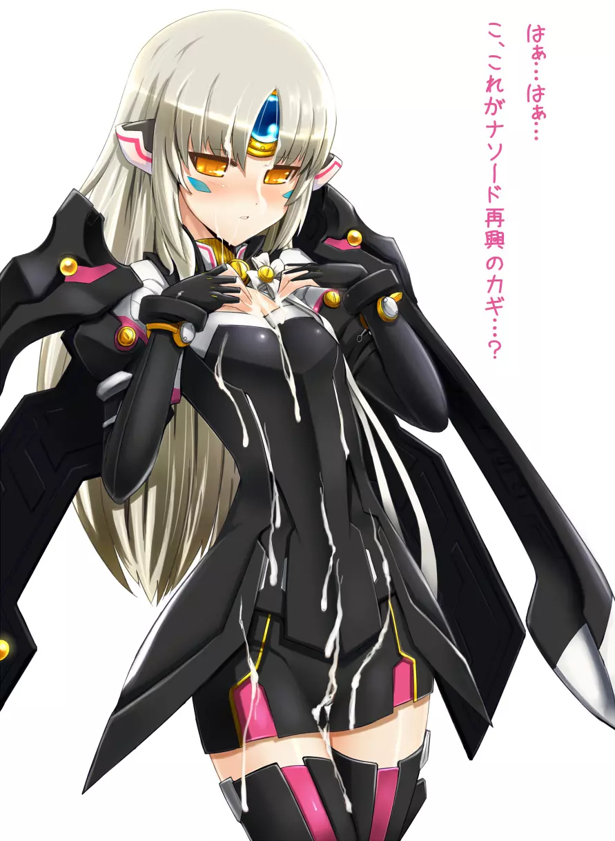 Elsword CodeNemesis swimsuit 6ページ