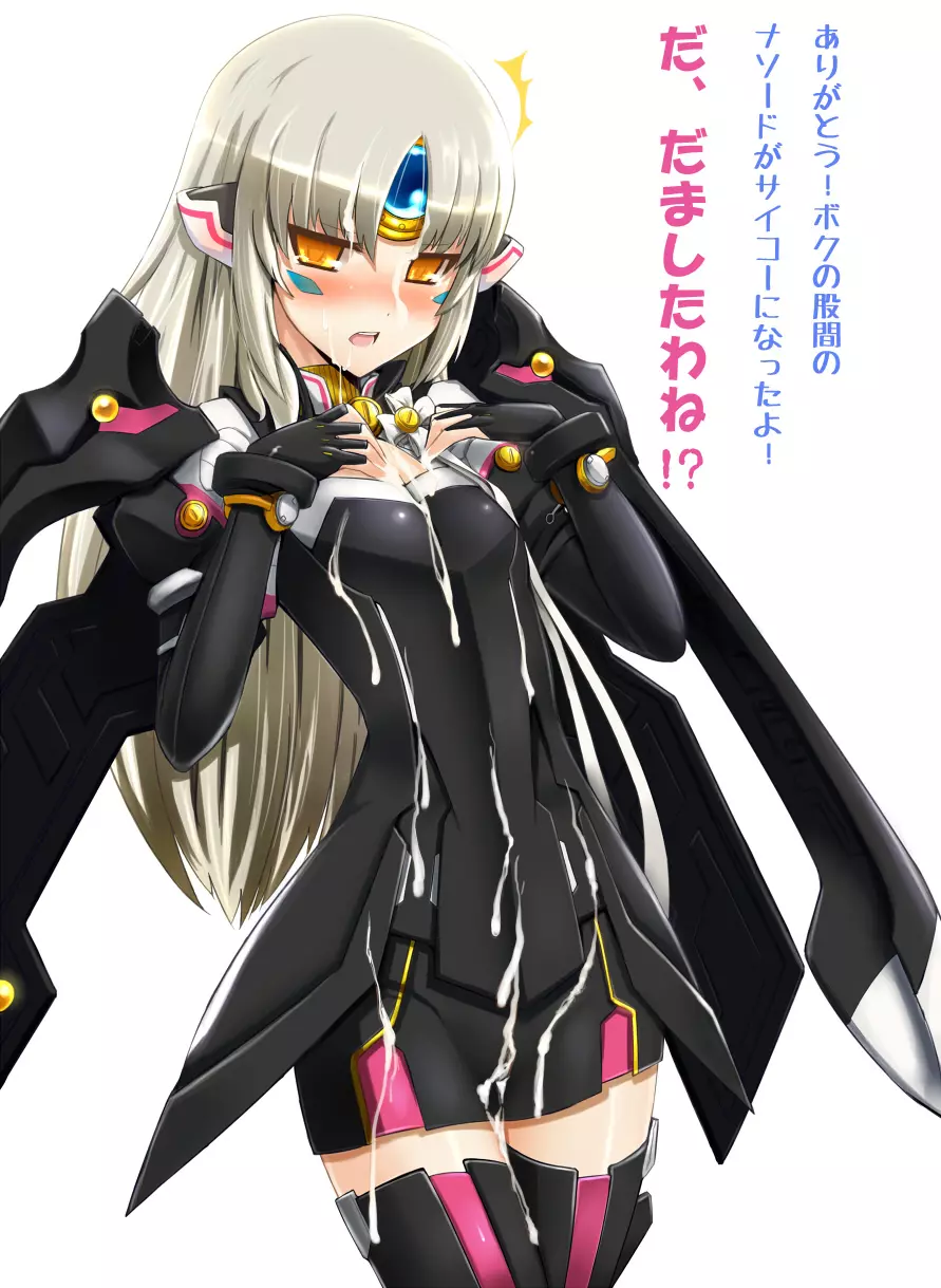 Elsword CodeNemesis swimsuit 7ページ