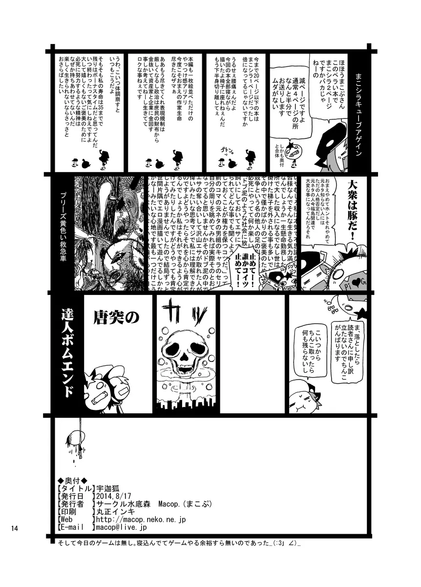 宇迦狐 14ページ