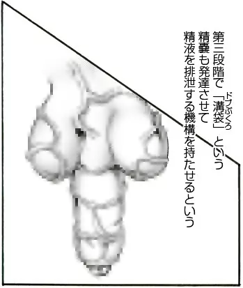 CORRUPT&ROTTENキューティリディの腐肉のアンドゥイユ「その三」 23ページ