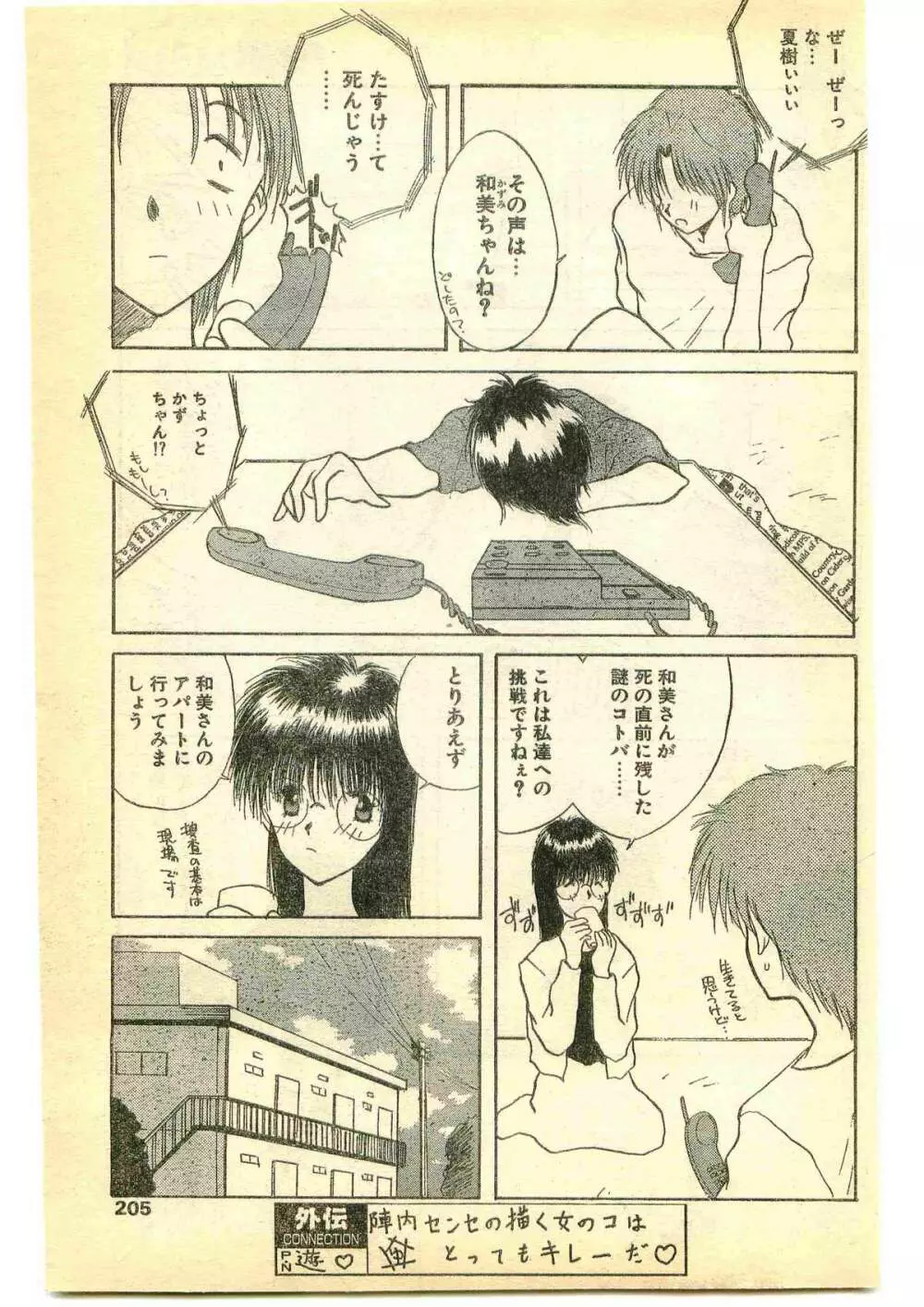 COMIC パピポ外伝 1995年5月号 205ページ