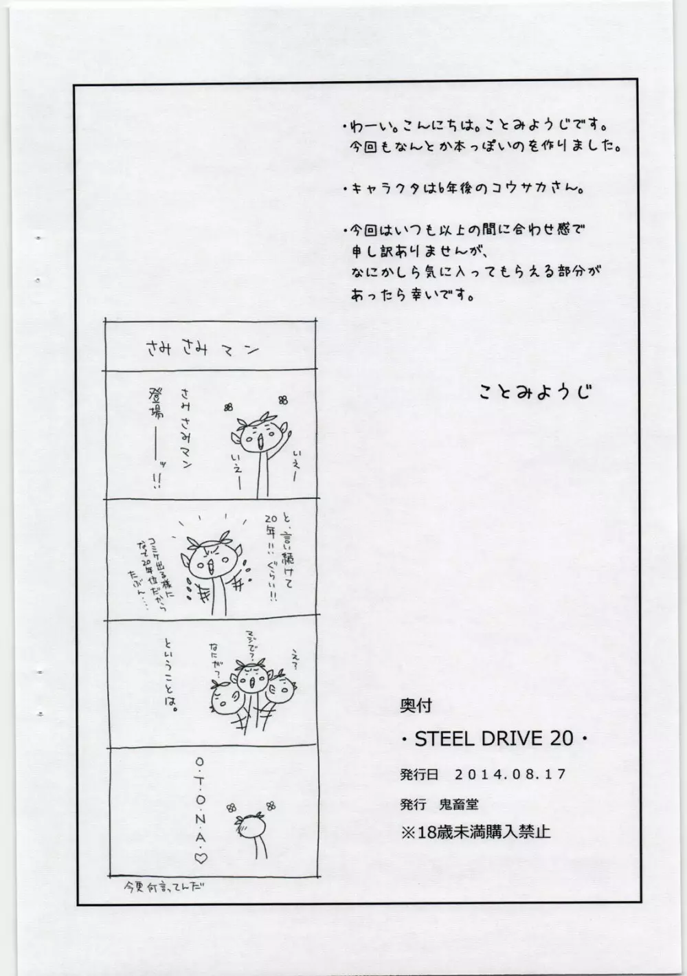 STEEL DRIVE 20 9ページ