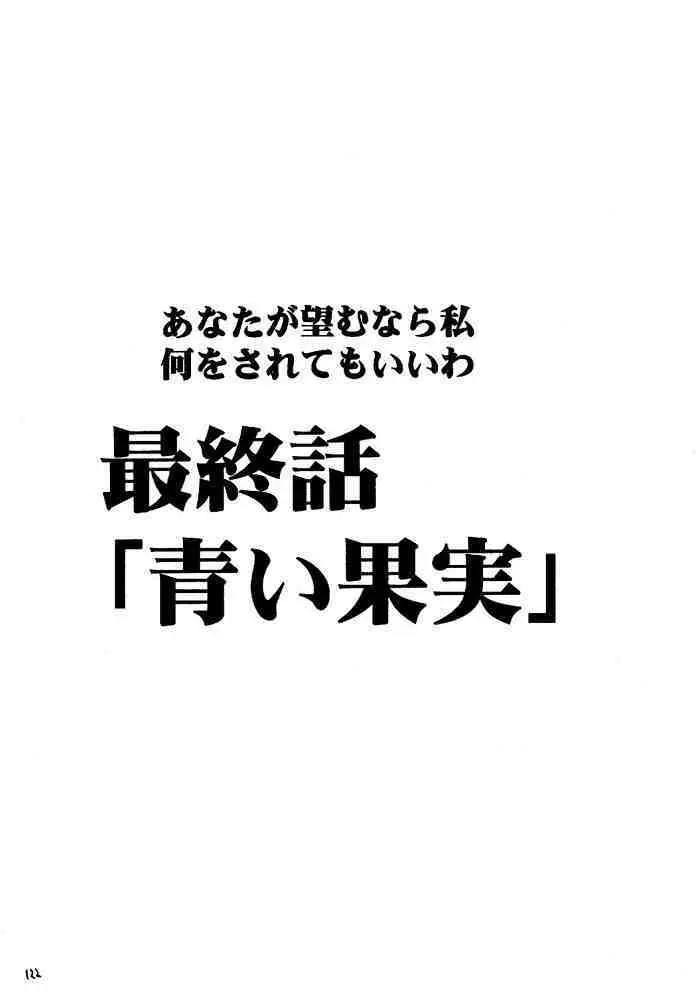 果実総集編 121ページ