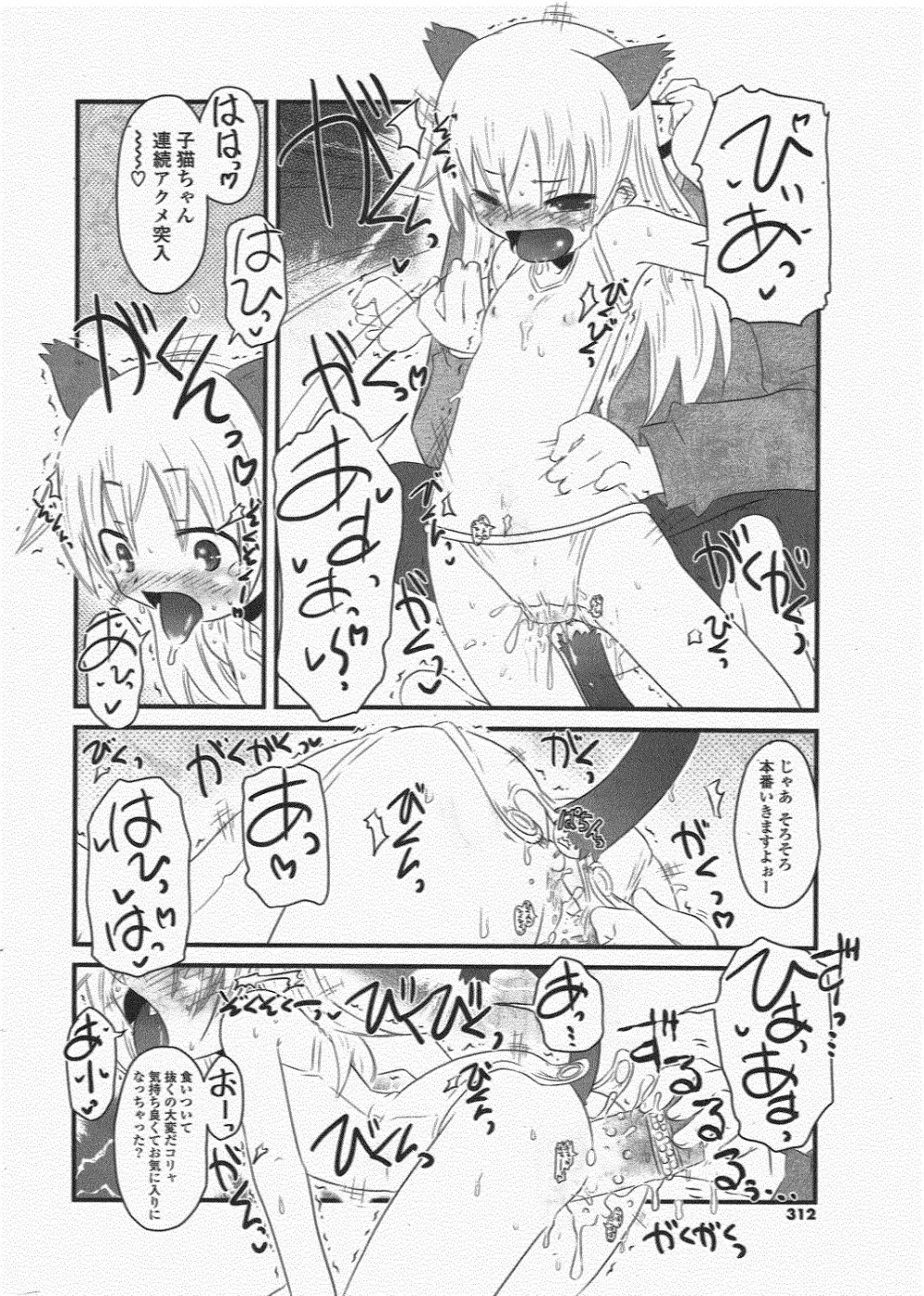 COMIC ポプリクラブ 2010年7月号 312ページ