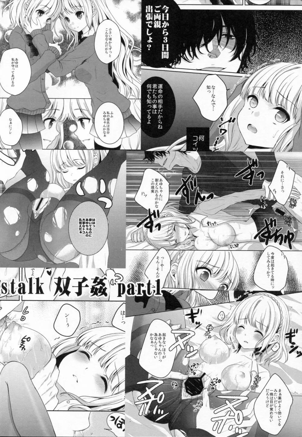 stalk 双子姦 part2 3ページ