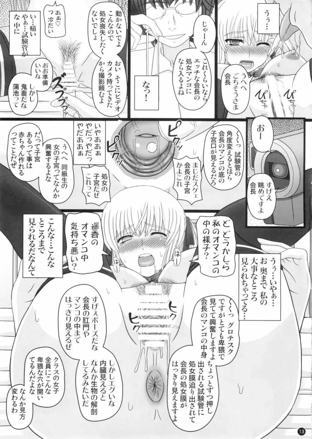 (C88) [幸せ共和国 (幸せのかたち)] かたしぶっ 0-2-15週 13ページ