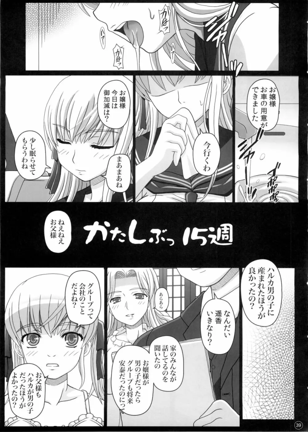 (C88) [幸せ共和国 (幸せのかたち)] かたしぶっ 0-2-15週 39ページ