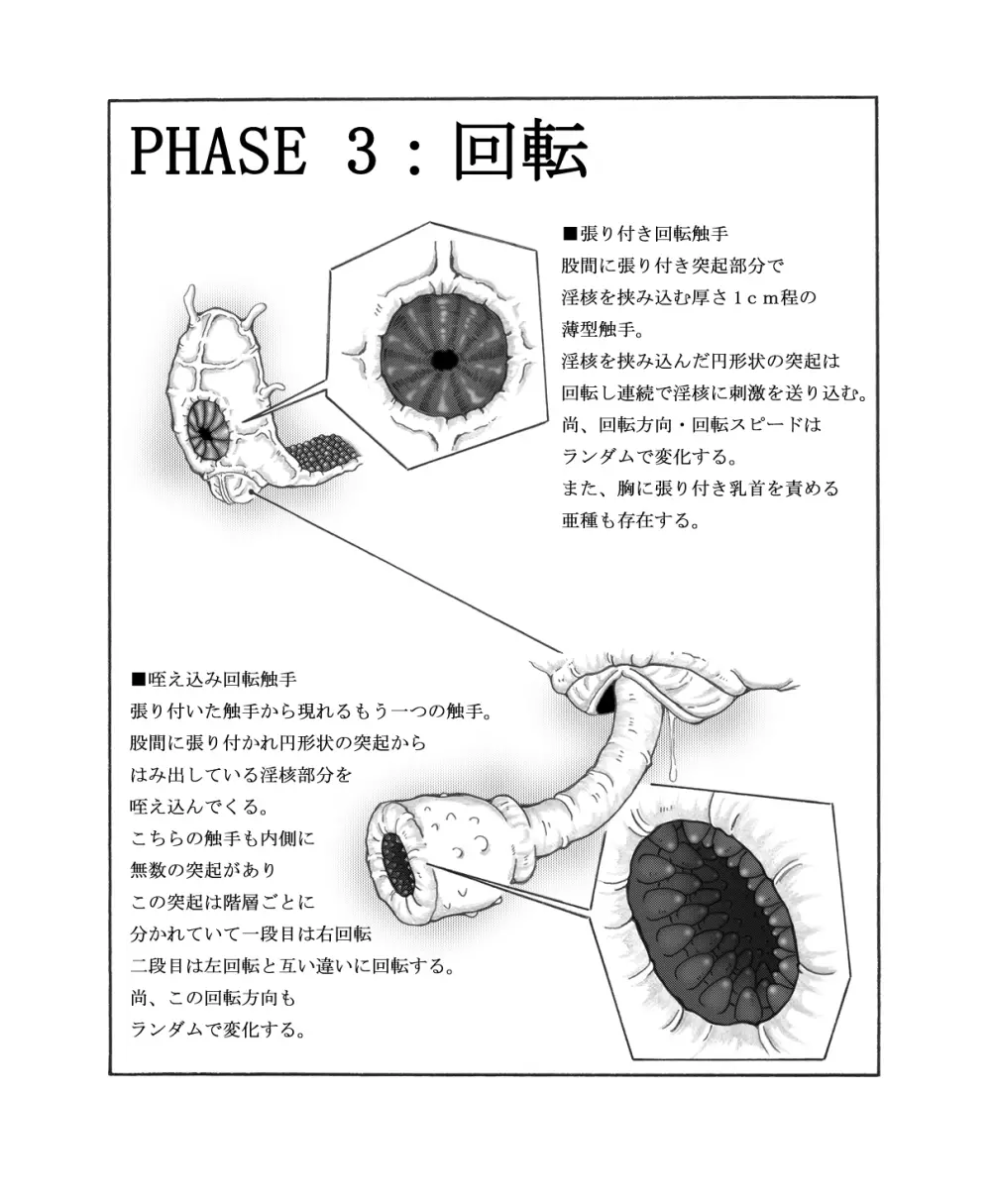 触核 11ページ