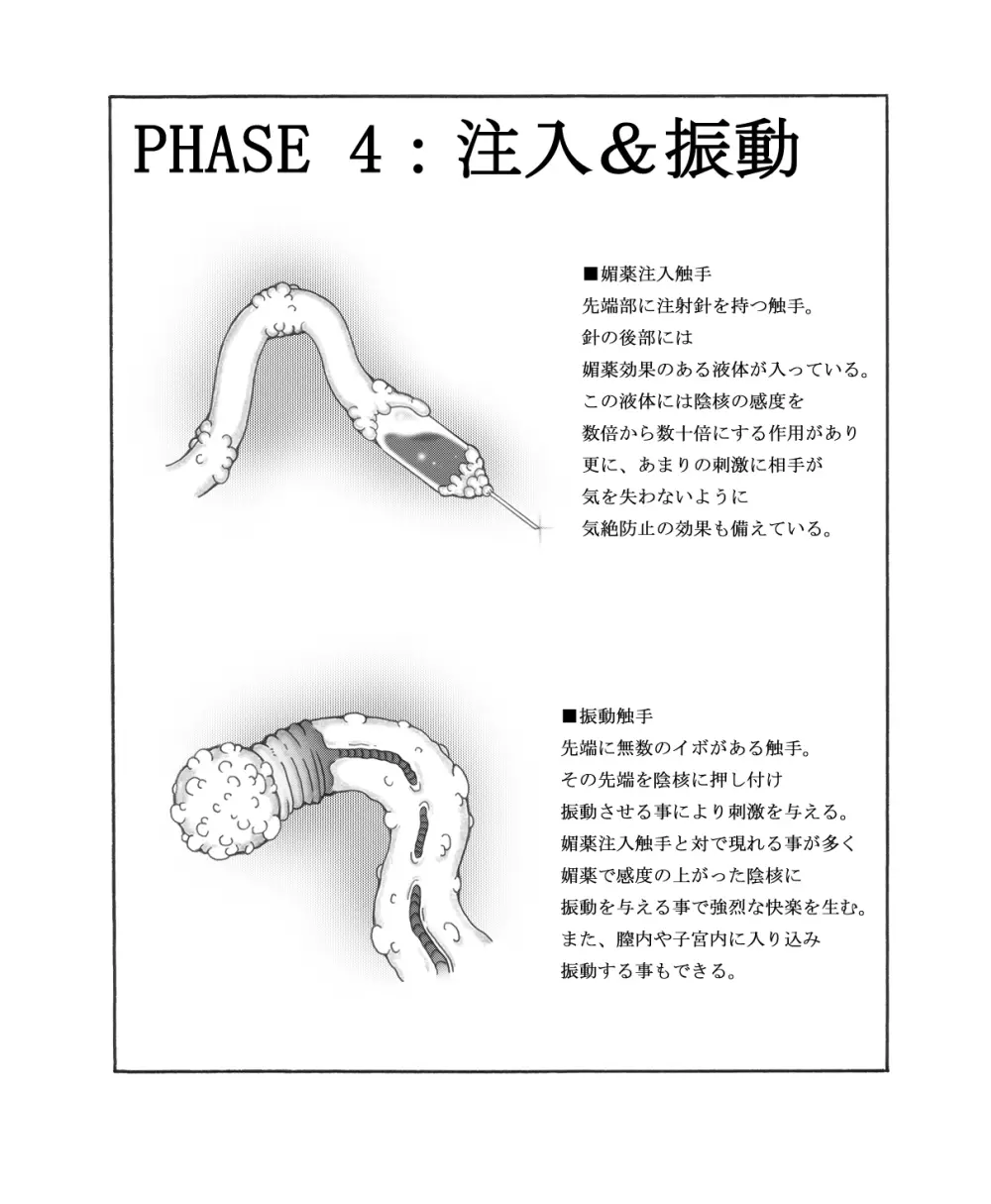 触核 15ページ