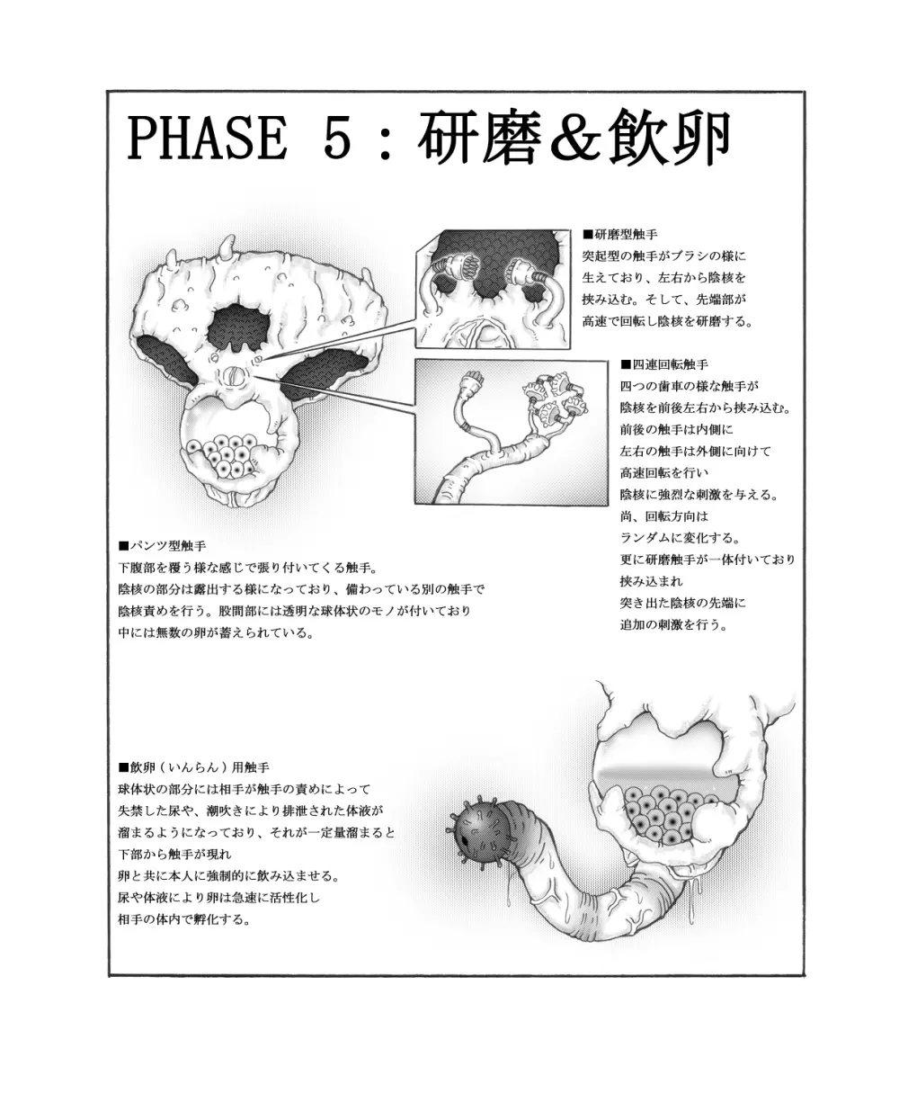 触核 26ページ