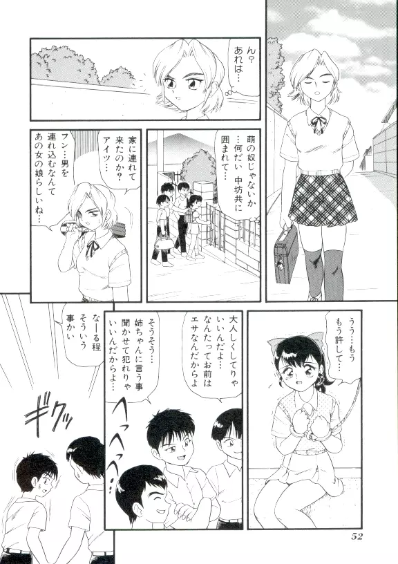 ドキドキ 恥辱画廊 51ページ