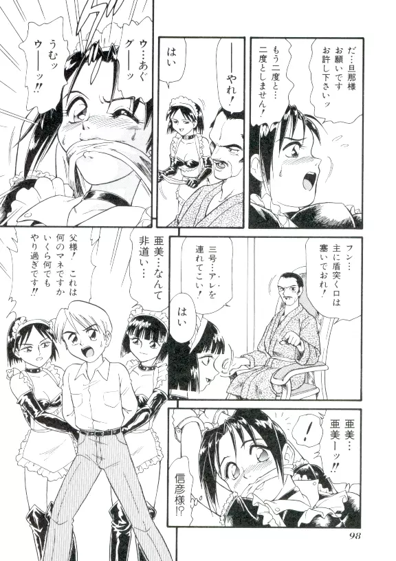 ドキドキ 恥辱画廊 97ページ