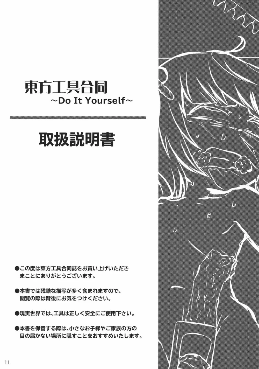 東方工具合同～Do It Yourself～ 10ページ