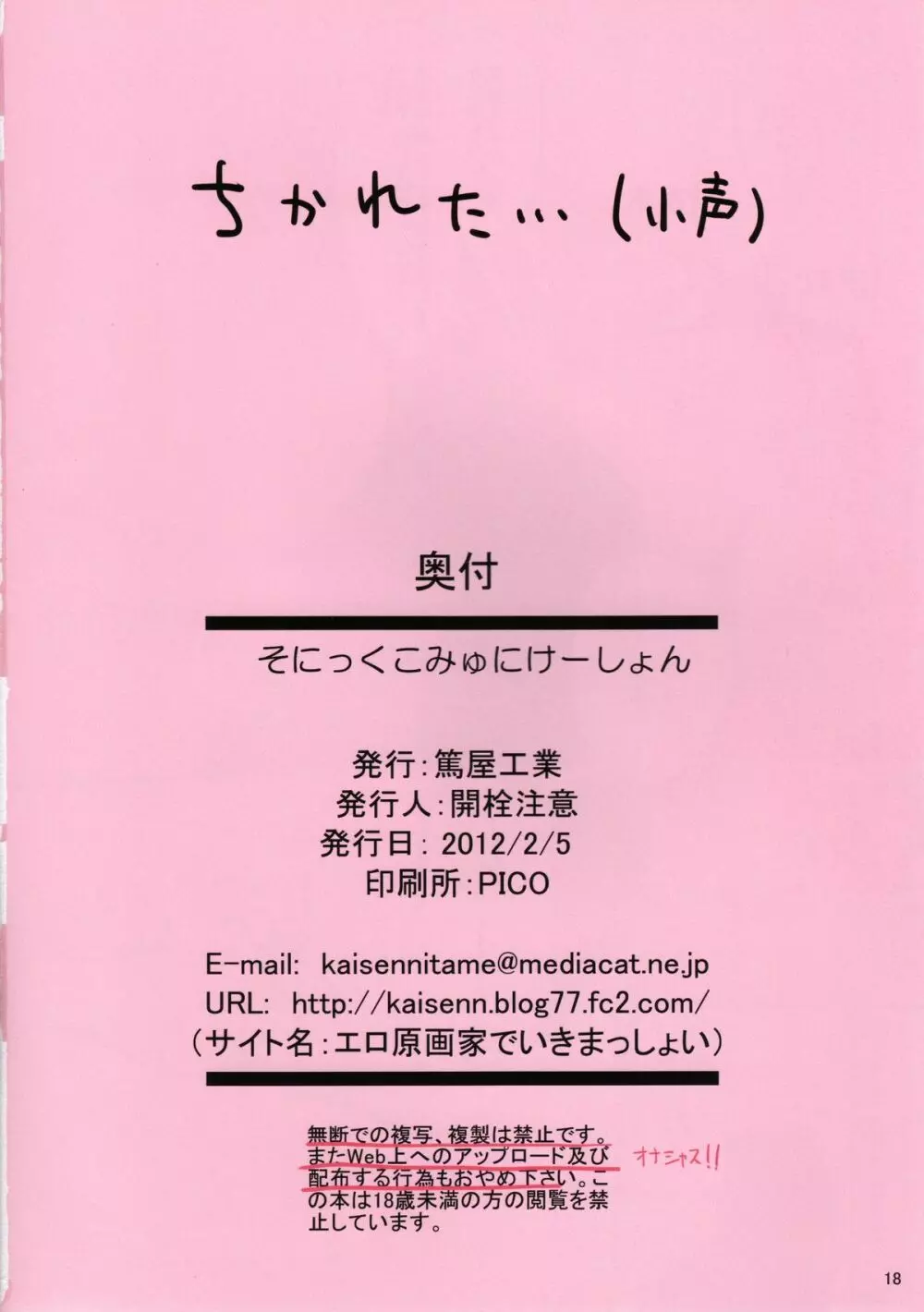 そにっくこみゅにけーしょん 17ページ