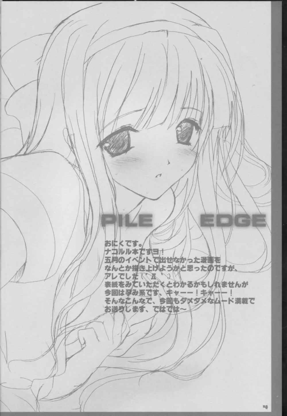 PILE EDGE 2ページ