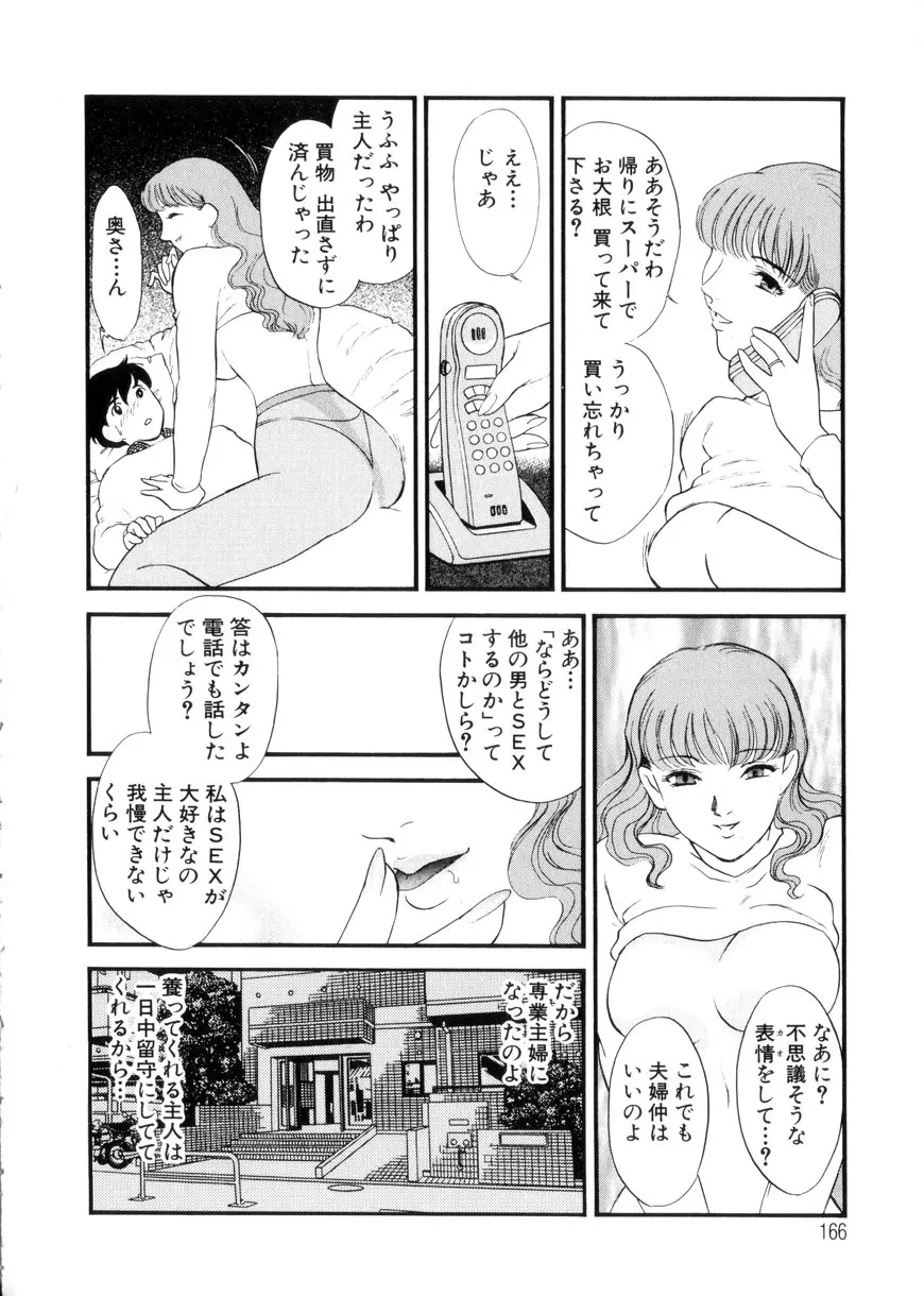 人妻模様3 乱れ妻 166ページ