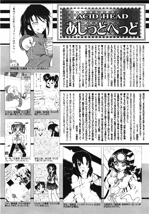 漫画ばんがいち 2010年4月号 252ページ