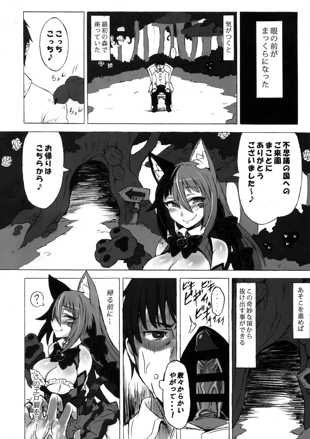 魔物娘図鑑・被害報告 ～チェシャ猫のおいでませ不思議の国～ 18ページ