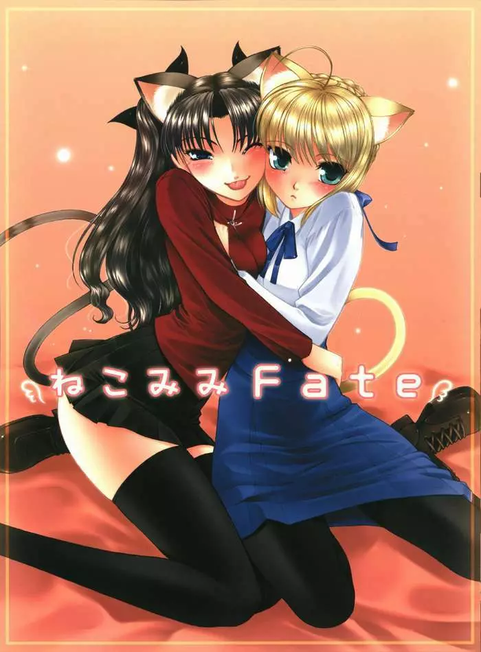 ねこみみFate 1ページ