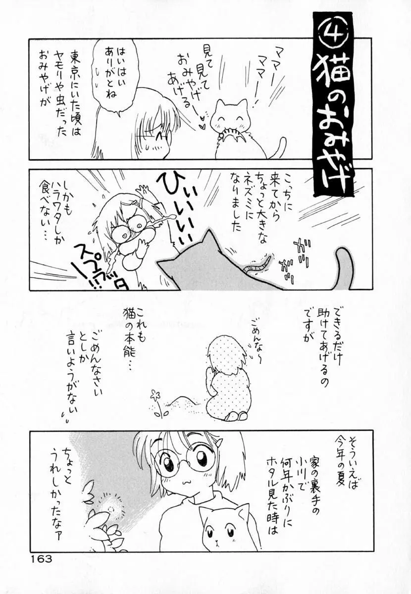 迷宮の薔薇 169ページ