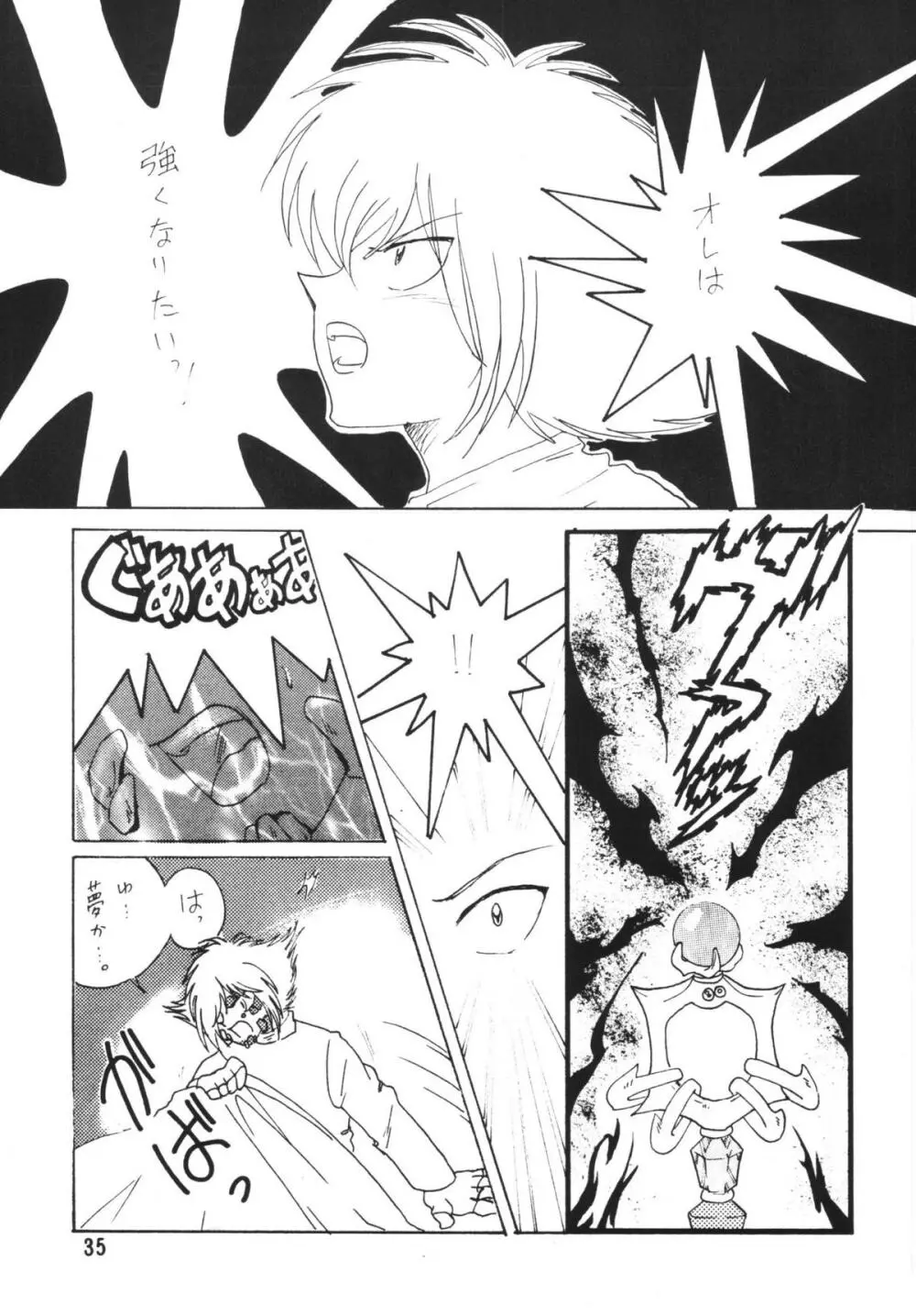 SLAYERS ADULT 35ページ