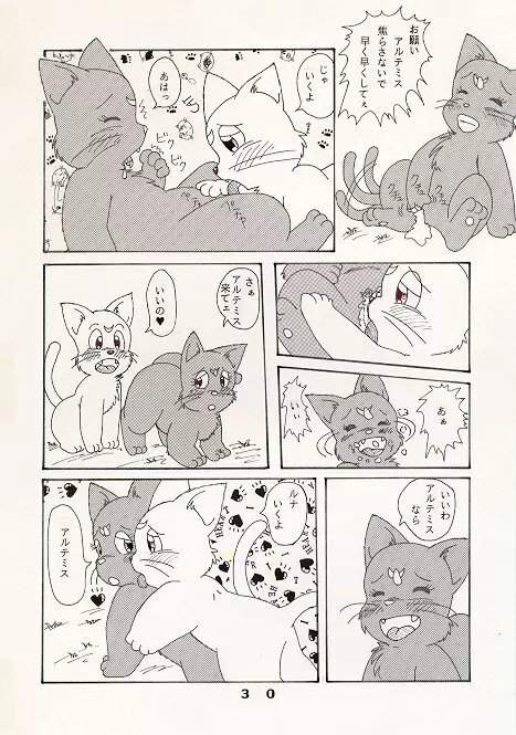 だって猫なんだモン！ 6ページ